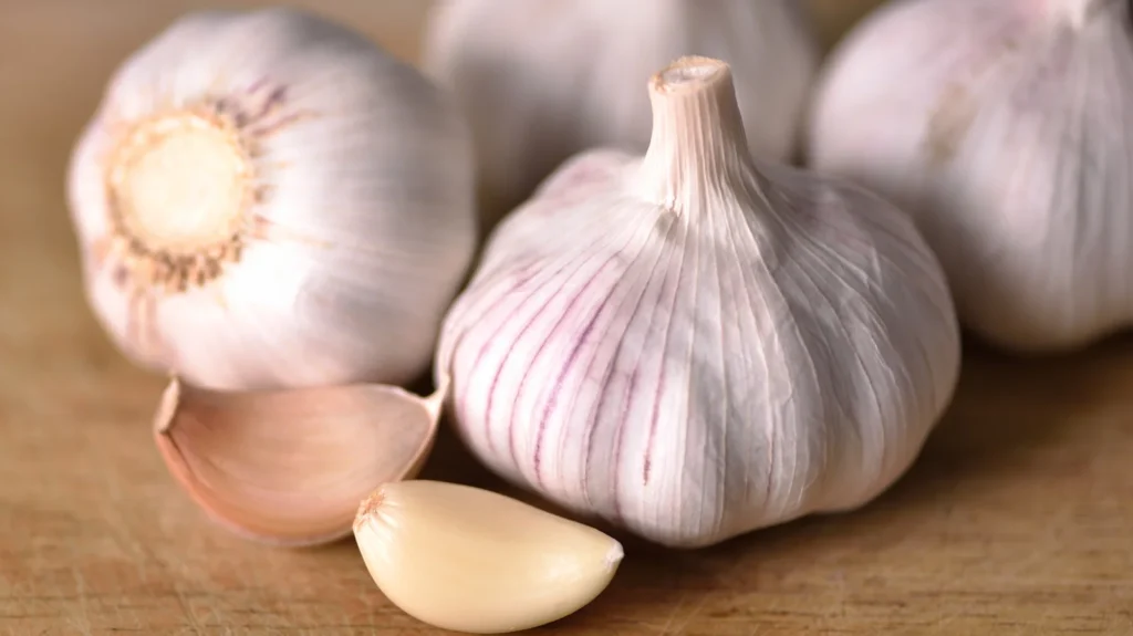 what is a clove of garlic