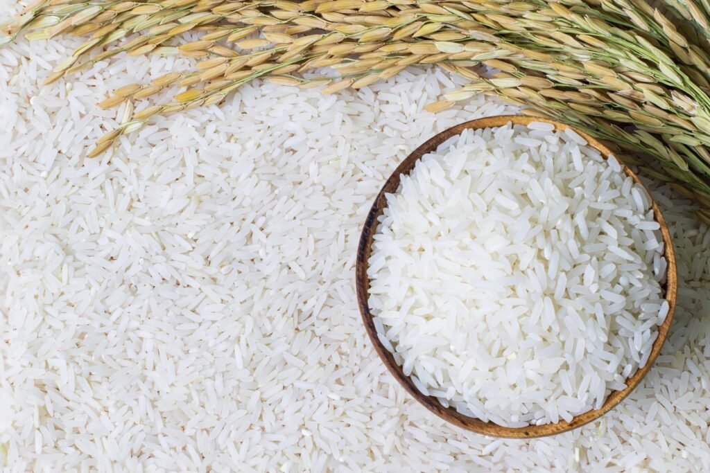 basmati rice vs jasmine rice