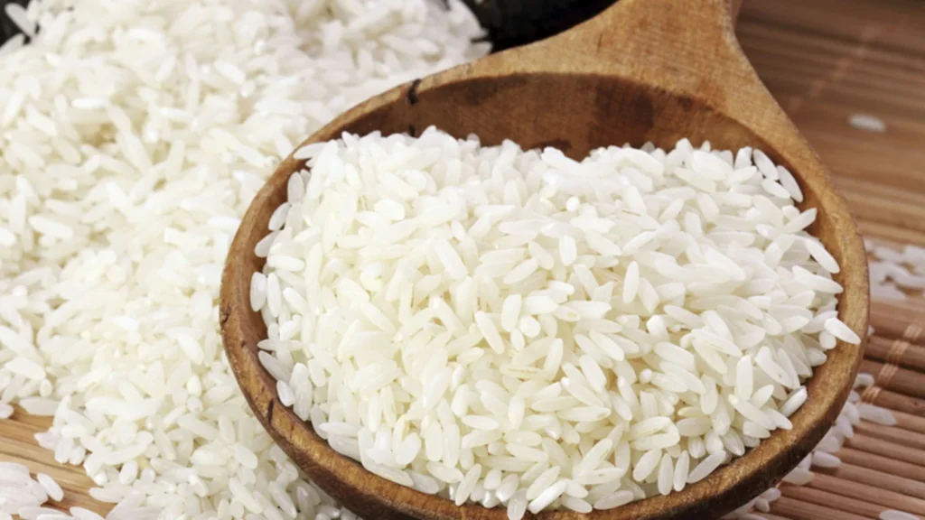 basmati vs jasmine rice
